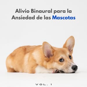 Alivio Binaural Para La Ansiedad De Las Mascotas Vol. 1 - Grabaciones de ritmos binaurales