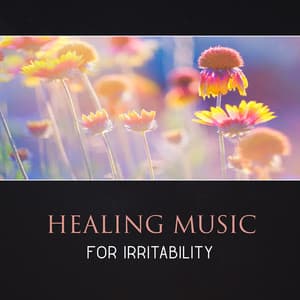 Healing Music for Irritability – Meditation for Stress Reduction, Mindfulness for Calming Down, Yoga Healing, Soothing Music, Deep Breathing, Cure Social Anxiety - Spiritual Healing Consort
