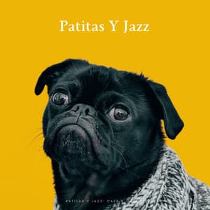 Patitas Y Jazz: Café Y Catnip - Jazz en el fondo