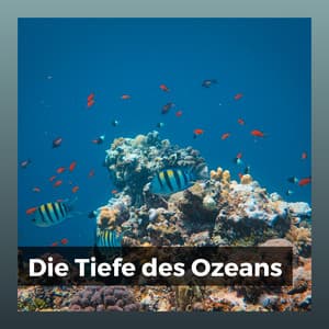 Die Tiefe des Ozeans - Meeresgeräusche