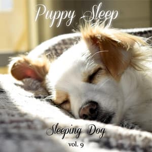 Sleeping Dog Volume 9 - Puppy Sleep