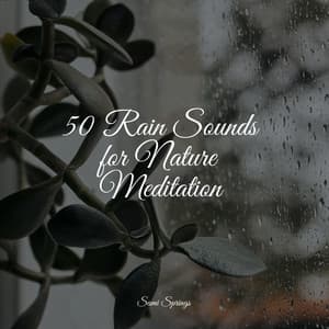 50 Rain Sounds for Nature Meditation - Sol y Lluvia
