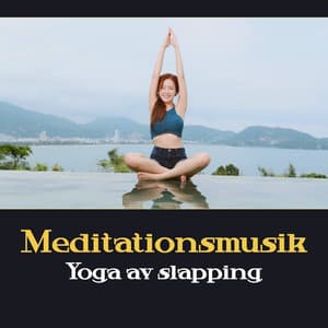 Meditationsmusik - Yoga Terapi Samling