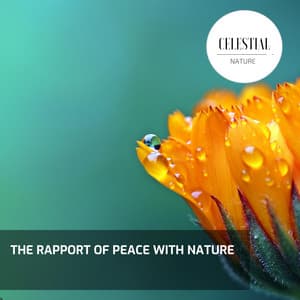 The Rapport of Peace With Nature - Nature Radiance