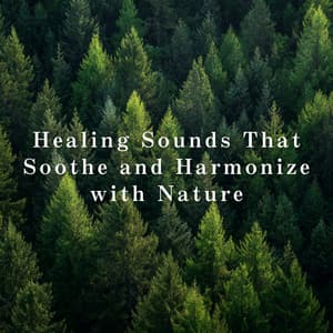 Healing Sounds That Soothe and Harmonize with Nature - Relax α Wave