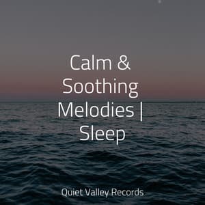 Calm & Soothing Melodies | Sleep - Ambient Arena
