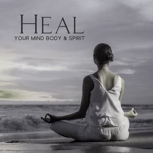 Heal Your Mind Body & Spirit - Dr. Meditation