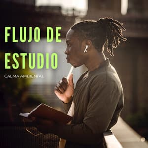 Flujo De Estudio: Calma Ambiental - Misterios mentales encerrados