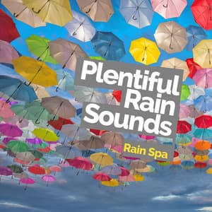 Plentiful Rain Sounds - Rain Spa