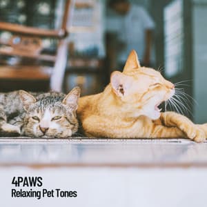 4Paws: Relaxing Pet Tones - Relaxing Pet Music