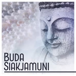 Buda Siakjamuni - Meditación Budista Academia