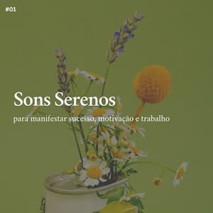 * Sons Serenos para manifestar sucesso, motivação e trabalho * - Ruído Ambiente