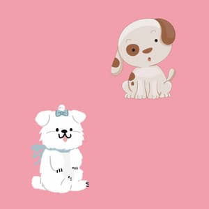 Feelings for A Hounds Life - Dog Music Hour