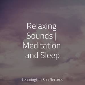 Relaxing Sounds | Meditation and Sleep - Nature Sounds for Relaxation and Sleep