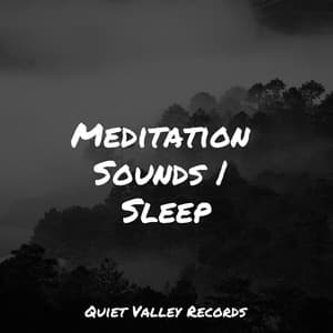 Meditation Sounds | Sleep - Sounds Of Nature: Thunderstorm