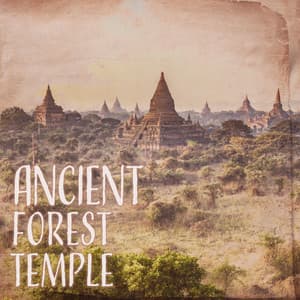 Ancient Forest Temple: Tibetan Singing Bowls with Relaxing Nature Sounds - Buddha Music Sanctuary
