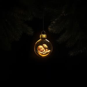 Tranquil Yuletide Tunes - Music Box Tunes