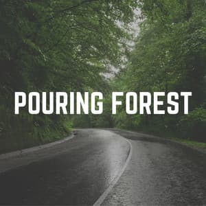 Pouring Forest - Pro Sound Effects Library