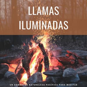 Llamas Iluminadas: Un Sonido De Naturaleza Pacífica Para Meditar - Sonidos de chimenea