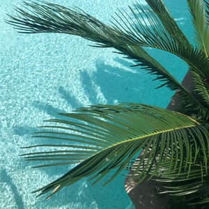 50 Wonderful Tracks for Meditation & Meditation - Lullabies for Deep Meditation