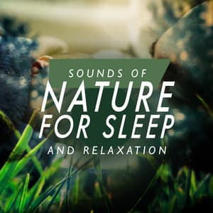 Sounds of Nature for Sleep and Relaxation - Sounds of Nature for Deep Sleep and Relaxation