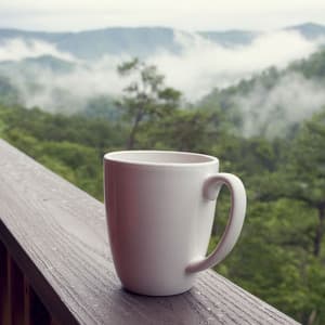 Light Jazz Coffee House - Light Jazz Coffee House