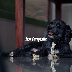 Jazz Furrytails - Dogs at Home