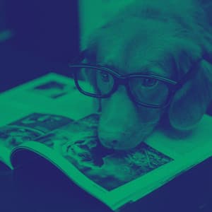 Happy Background Music for Sleepy Puppy Zone - Relaxing Dog Music Playlists