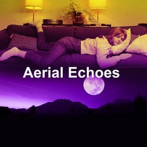 Aerial Echoes - Back 2 Sleep