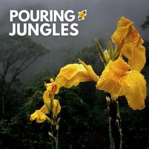 Pouring Jungles - Nature Sounds Nature Music