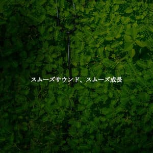 スムーズサウンド、スムーズ成長 - Entspannendes Klavier