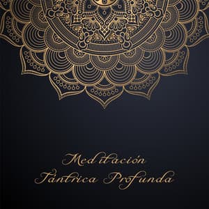 Meditación Tántrica Profunda - Zona de Música Erótica