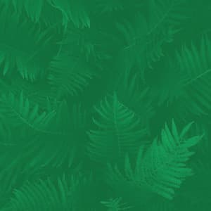 Trumpet Solo - Background for Taking Notes - Cafe Jazz Coffee House