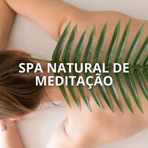 Spa Natural de Meditação: Refúgio de Tranquilidade e Bem-Estar em Harmonia com a Natureza - Relaxantes Natureza Zona
