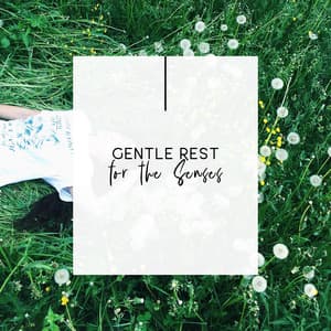 Gentle Rest for the Senses – New Age Melodies to Relaxation Therapy - Best Space Music