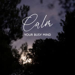 Calm Your Busy Mind - Deep Sleep Music Academy