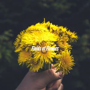 Fields of Flowers - Monday Morning Jazz Playlist