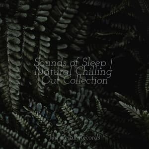 Sounds of Sleep | Natural Chilling Out Collection - Música relaxante