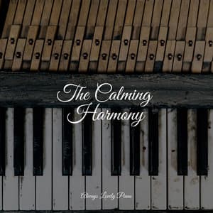 The Calming Harmony - Ambient Piano