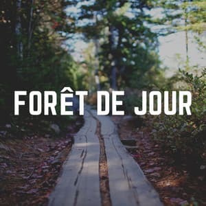 Forêt De Jour - Nature Sounds - Sons de la nature