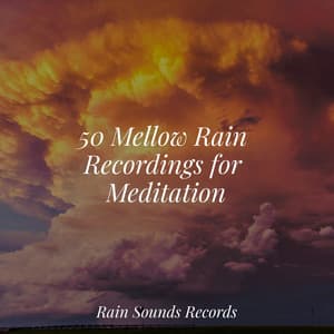 50 Mellow Rain Recordings for Meditation - Nature Sound Collection