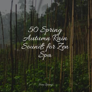 50 Spring Autumn Rain Sounds for Zen Spa - Forest Soundscapes
