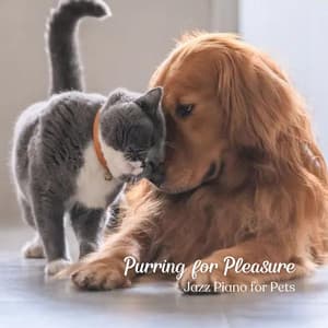 Purring for Pleasure: Jazz Piano for Pets - Chill Out Jazz Radio