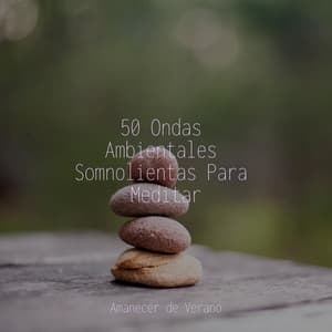 50 Ondas Ambientales Somnolientas Para Meditar - Sonidos de la Naturaleza Relajacion