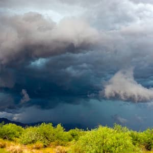 01 Weather Songs: Wetlands - Meditation Rain Sounds