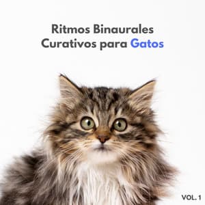 Ritmos Binaurales Curativos Para Gatos Vol. 1 - Música ambiental relajante