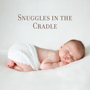 Snuggles in the Cradle - Blend in Bed Sleep Academy