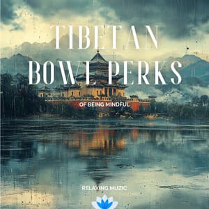 Tibetan Bowl Perks of Being Mindful - Relaxing Muzic