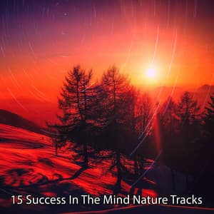 15 Success In The Mind Nature Tracks - Sleep Songs with Nature Sounds