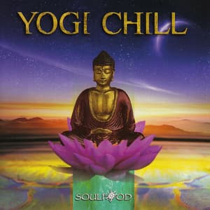Yogi Chill - Soulfood